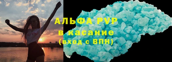 гашик Козловка