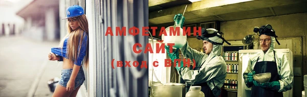 гашик Козловка