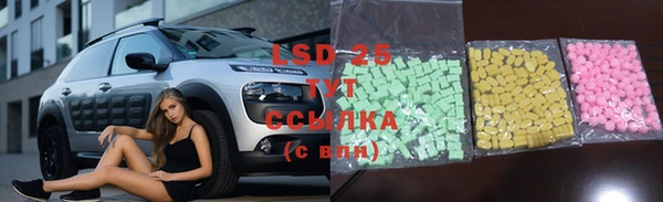 гашик Козловка