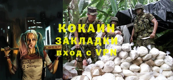 гашик Козловка