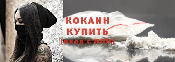 гашик Козловка