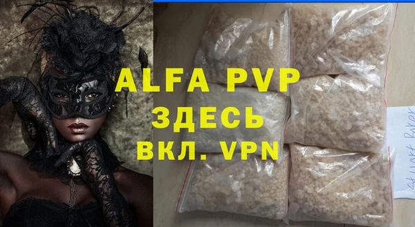 гашик Козловка