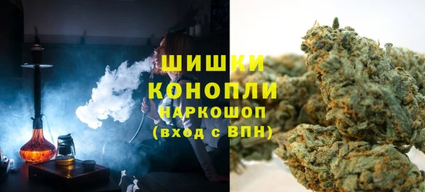 гашик Козловка
