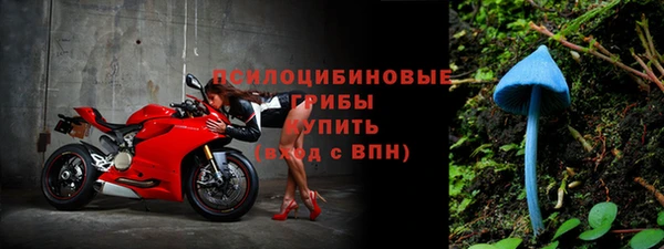 круглые Кодинск