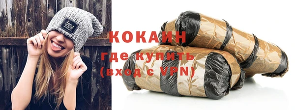 гашик Козловка