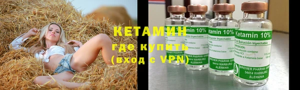 гашик Козловка