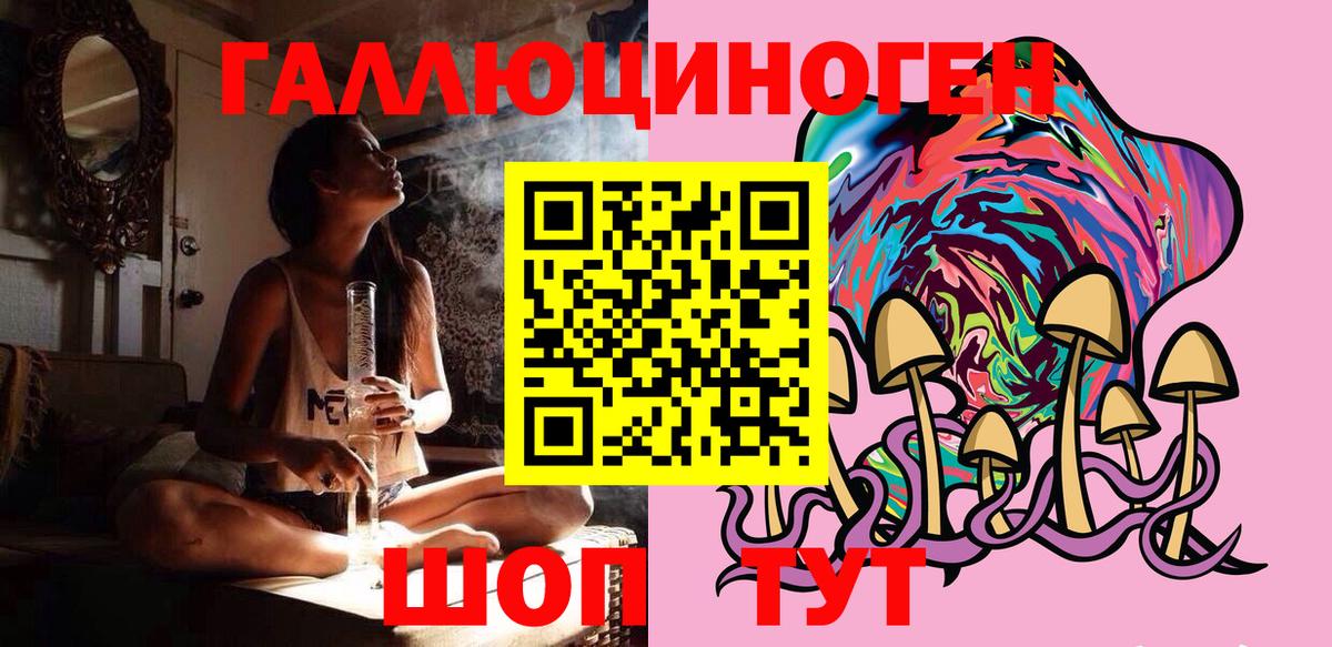 Долгопрудный  хочу   Вход с VPN  Галлюциногенные грибы GOLDEN TEACHER 