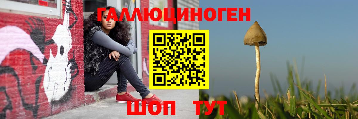 Псилоцибиновые грибы Magic Shrooms  Псилоцибиновые грибы Magic Shrooms  Долгопрудный 